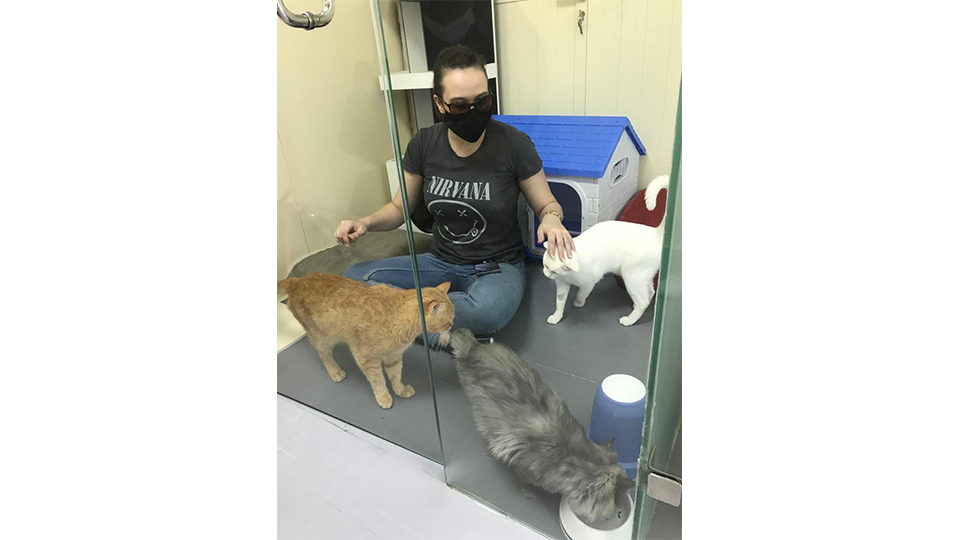 Animal Shelter Volunteer